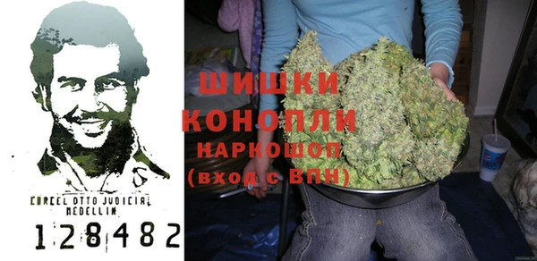 индика Михайловка
